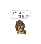 新・激しく尻尾をふるダックス【基本篇】（個別スタンプ：10）