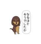 新・激しく尻尾をふるダックス【基本篇】（個別スタンプ：11）