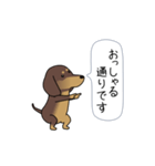 新・激しく尻尾をふるダックス【基本篇】（個別スタンプ：12）