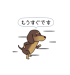 新・激しく尻尾をふるダックス【基本篇】（個別スタンプ：15）