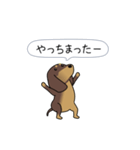 新・激しく尻尾をふるダックス【基本篇】（個別スタンプ：17）