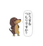 新・激しく尻尾をふるダックス【基本篇】（個別スタンプ：20）