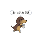 新・激しく尻尾をふるダックス【基本篇】（個別スタンプ：22）