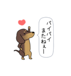 新・激しく尻尾をふるダックス【基本篇】（個別スタンプ：23）