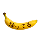 "こちら"を見ているゴリラ（個別スタンプ：17）