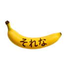"こちら"を見ているゴリラ（個別スタンプ：20）