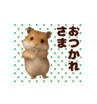 踊る！ハムスター@毎日使えるスタンプ（個別スタンプ：5）