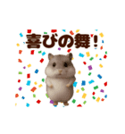 踊る！ハムスター@毎日使えるスタンプ（個別スタンプ：11）