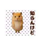 踊る！ハムスター@毎日使えるスタンプ（個別スタンプ：13）
