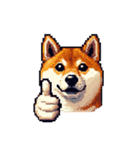 絵文字感覚で使いやすいドット絵柴犬2（個別スタンプ：1）
