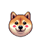 絵文字感覚で使いやすいドット絵柴犬2（個別スタンプ：4）