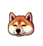 絵文字感覚で使いやすいドット絵柴犬2（個別スタンプ：8）