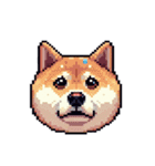絵文字感覚で使いやすいドット絵柴犬2（個別スタンプ：9）