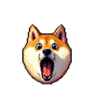 絵文字感覚で使いやすいドット絵柴犬2（個別スタンプ：10）