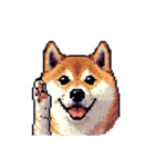 絵文字感覚で使いやすいドット絵柴犬2（個別スタンプ：11）