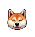 絵文字感覚で使いやすいドット絵柴犬2（個別スタンプ：12）