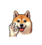 絵文字感覚で使いやすいドット絵柴犬2（個別スタンプ：14）