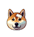 絵文字感覚で使いやすいドット絵柴犬2（個別スタンプ：15）