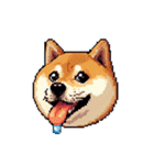 絵文字感覚で使いやすいドット絵柴犬2（個別スタンプ：17）
