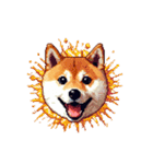 絵文字感覚で使いやすいドット絵柴犬2（個別スタンプ：18）