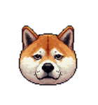 絵文字感覚で使いやすいドット絵柴犬2（個別スタンプ：19）