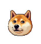 絵文字感覚で使いやすいドット絵柴犬2（個別スタンプ：24）