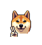 絵文字感覚で使いやすいドット絵柴犬2（個別スタンプ：29）