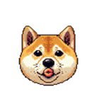 絵文字感覚で使いやすいドット絵柴犬2（個別スタンプ：31）