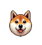 絵文字感覚で使いやすいドット絵柴犬2（個別スタンプ：34）