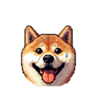 絵文字感覚で使いやすいドット絵柴犬2（個別スタンプ：36）