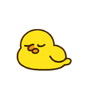 ハイパーひよこショー（個別スタンプ：2）