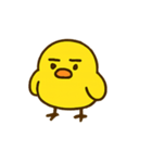 ハイパーひよこショー（個別スタンプ：6）