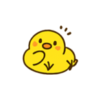 ハイパーひよこショー（個別スタンプ：9）