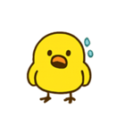 ハイパーひよこショー（個別スタンプ：10）