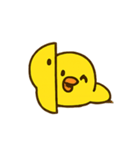 ハイパーひよこショー（個別スタンプ：16）