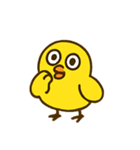 ハイパーひよこショー（個別スタンプ：19）