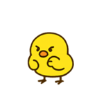 ハイパーひよこショー（個別スタンプ：21）