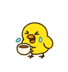 ハイパーひよこショー（個別スタンプ：24）