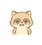 まるいあらいぐまのきもち日記（個別スタンプ：1）