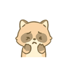 まるいあらいぐまのきもち日記（個別スタンプ：13）