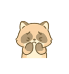 まるいあらいぐまのきもち日記（個別スタンプ：17）