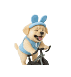 私のとびきりかわいいうさ耳 (NT)（個別スタンプ：11）