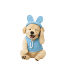 私のとびきりかわいいうさ耳 (NT)（個別スタンプ：17）