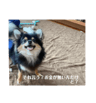 おもろい犬さん（個別スタンプ：1）