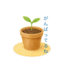 365日のやさしい言葉スタンプ（個別スタンプ：27）