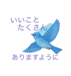 365日のやさしい言葉スタンプ（個別スタンプ：36）