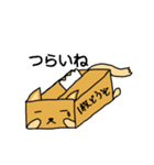 ダン犬（個別スタンプ：16）