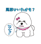 愛しのノワっち劇場スタンプ（個別スタンプ：29）