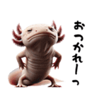 ウーパールーパー8！おもしろ！3Dリアル（個別スタンプ：1）