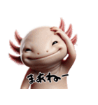 ウーパールーパー8！おもしろ！3Dリアル（個別スタンプ：12）